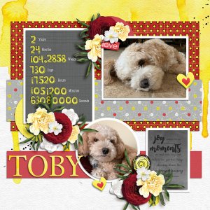 Toby2021