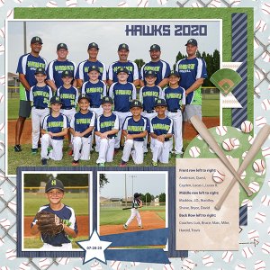 2020 Hawks