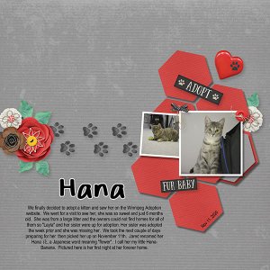 Hana's Adoption