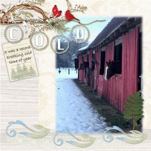 One Cold Year