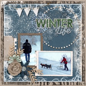 Winter-life-600