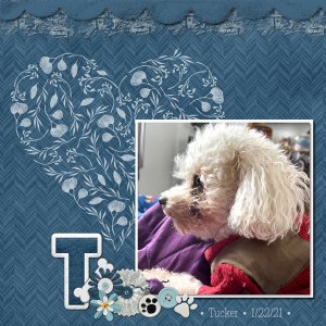 February 2021 Brush Challenge: Tucker