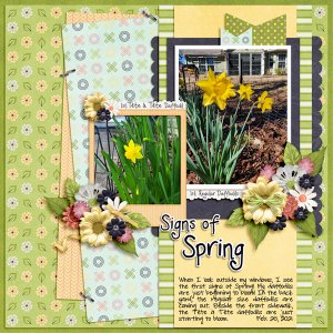 Signs of Spring