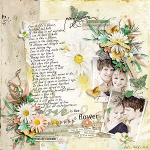 love is like a flower