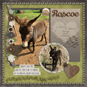 RIP Roscoe :(