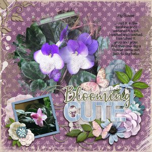 My Flowers