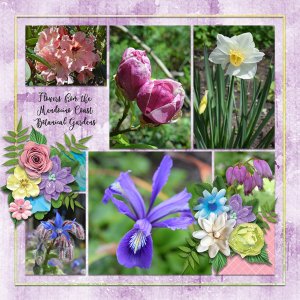 March flowers