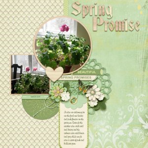Spring Promise