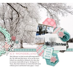 Icy Wonderland