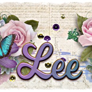 February Siggy