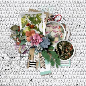 tnp-OHSOPRETTY-PD4_TRACY