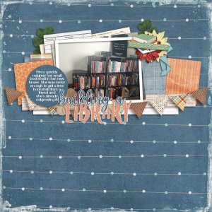 library4