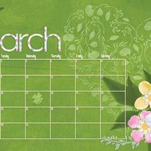 21Feb-brush