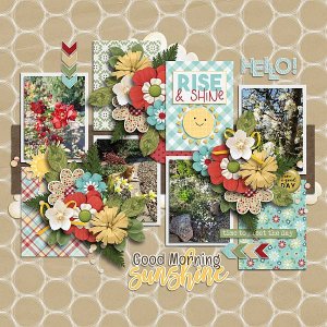 Rise and shine