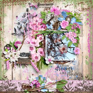 Let Your Dreams Blossom