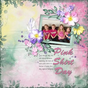 Pink Shirt Day