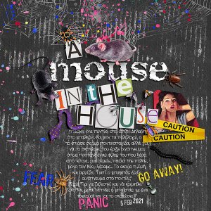 A mouse in the house