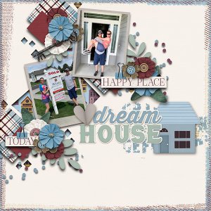 New-house-copy