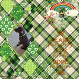 4 Leaf Clover
