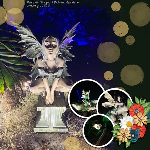 Fairies