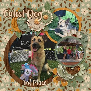 Columbiaville Contest