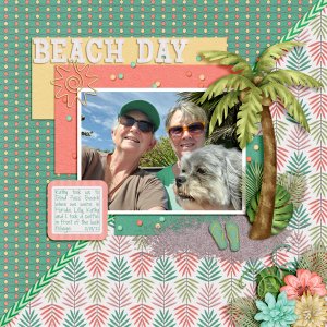 Beach Day