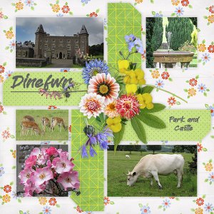 Dinefwr Park and Castle
