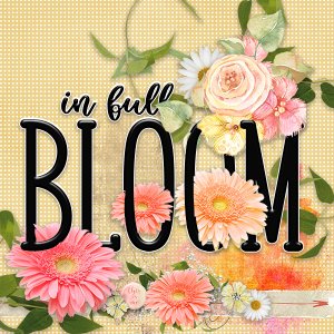 In full bloom