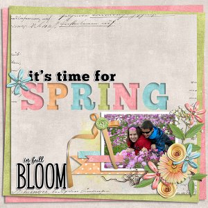 in full bloom