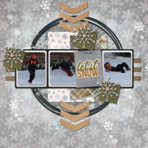 Snow Flip