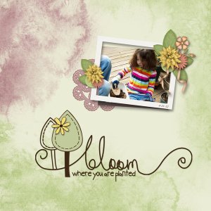 Bloom . . .