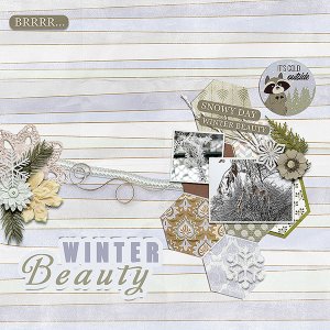 Winter Beauty