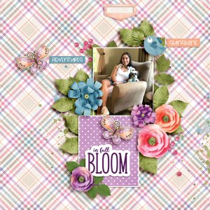 in-full-Bloom2