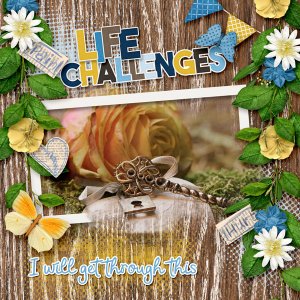 Life Challenges