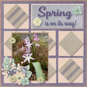 Spring is on it
