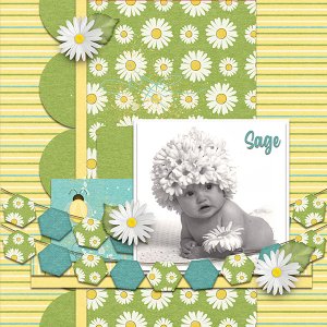 Sage