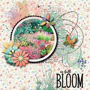 Bloom