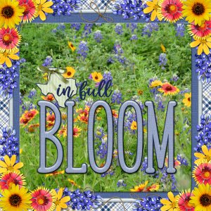 in full BLOOM