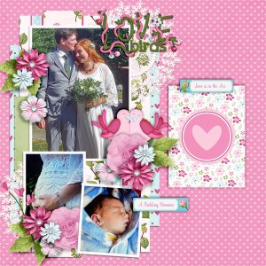 Love-birds4