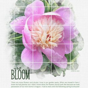 2021-03 In Full Bloom