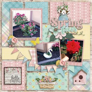 Whidbey Flowers