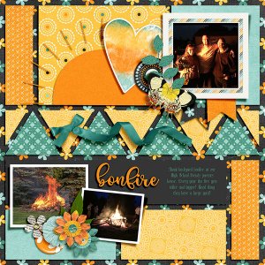 Friends Annual Bonfire