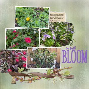 In Full Bloom
