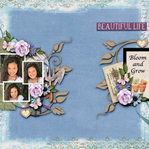 Beautiful Life