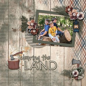 Clearing the Land