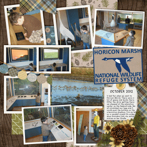 Horicon Marsh