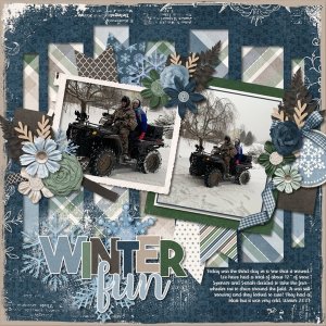 Winter Fun