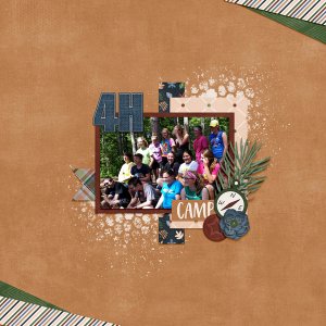 4H Camp