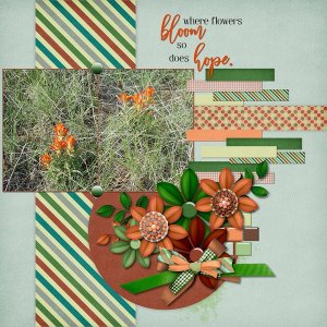 Where Flowers Bloom