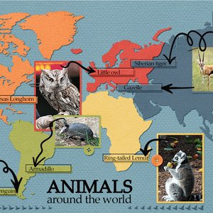 Animals of the world